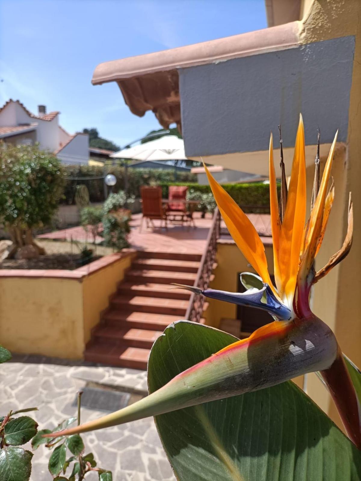 Willa La Casa Al Sole Marina di Sorso Zewnętrze zdjęcie